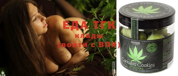 spice Инта