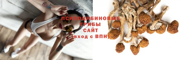 ПСИЛОЦИБИНОВЫЕ ГРИБЫ Каменка