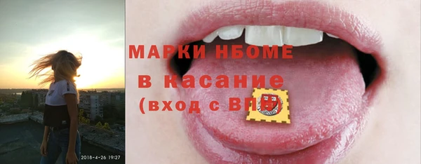 ПСИЛОЦИБИНОВЫЕ ГРИБЫ Каменка