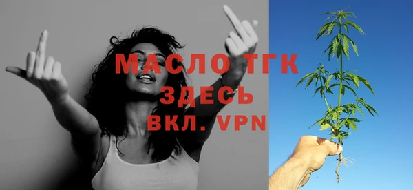 spice Инта