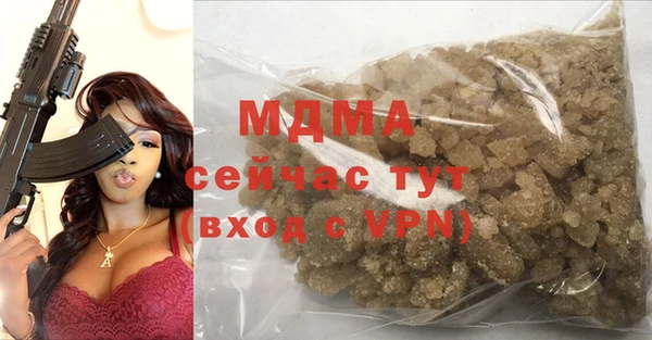 spice Инта
