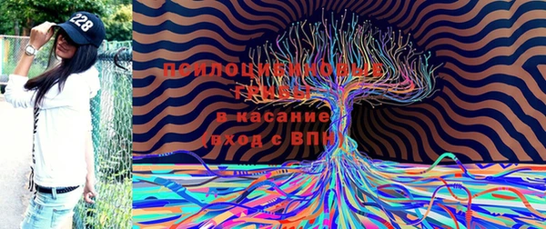твердый Осинники