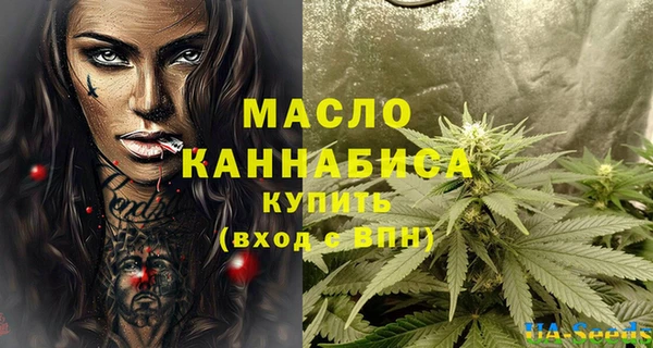 spice Инта